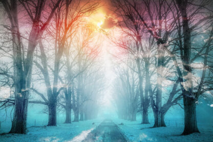 Wintery Road 02 - RF Stock Photo