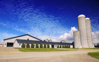 Modern Large Farm with Bulk Grain Storage Silos