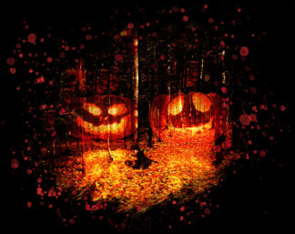 Halloween Scary Woods on Black - Just Cool Stock Images and Animations at Budget Price