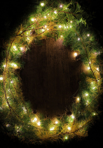 Vertical Pine and Lights Frame 1