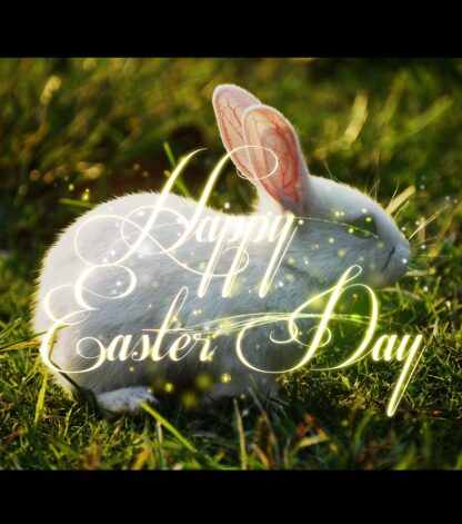 Cute Happy Easter Bunny 2 - Just Cool Stock Images and Animations at Budget Price