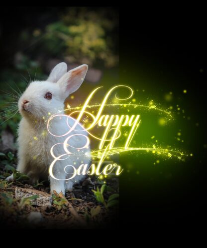 Cute Happy Easter Bunny - Just Cool Stock Images and Animations at Budget Price