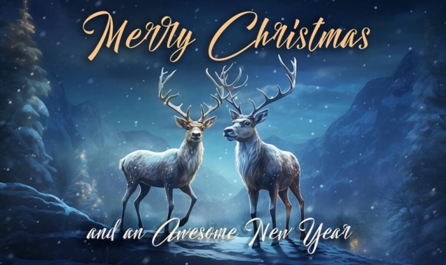Merry Christmas and an Awesome New Year
